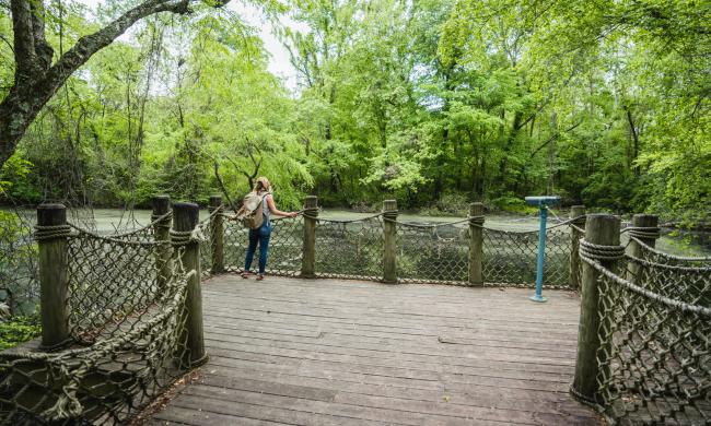 Turtle Bayou along Wolf River Greenway | Sean Fisher