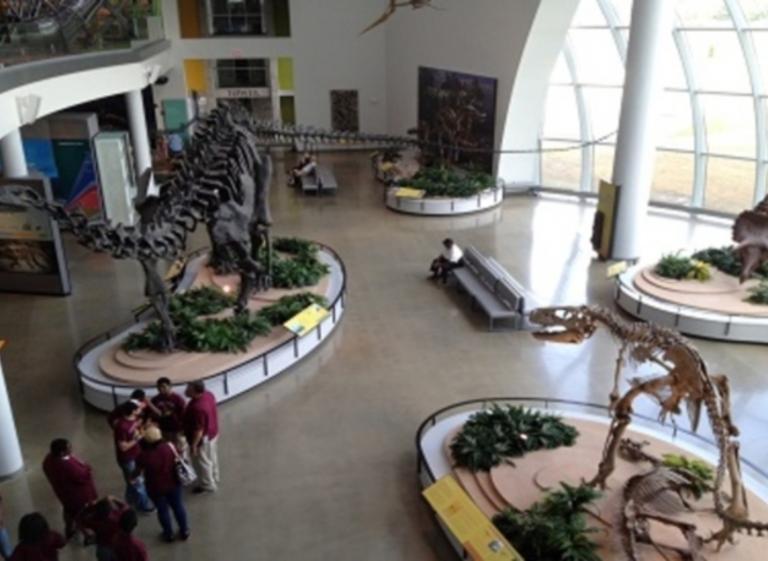 Natural History at Discovery Park - Photo by Tiffany Langston Photo 3